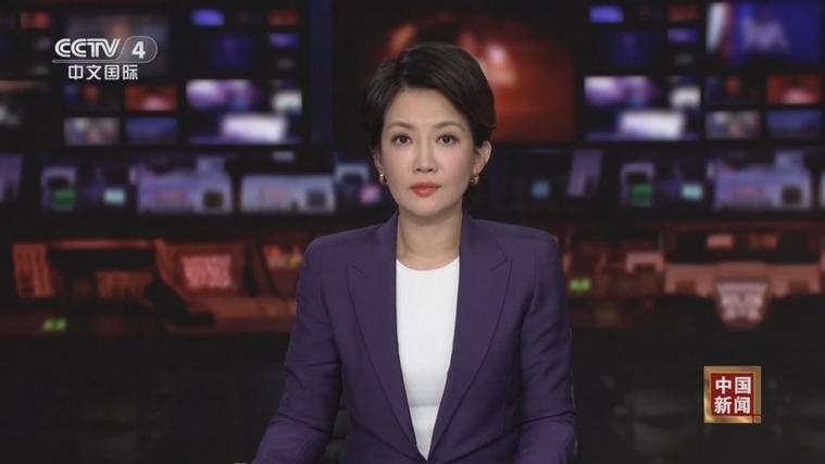 郑丽文荣膺中国国民党新一任主席-图1