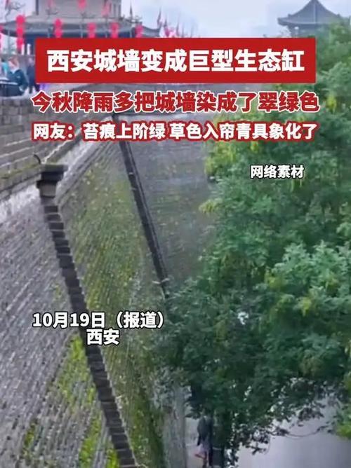 西安古城墙变身巨型生态之窗-图1