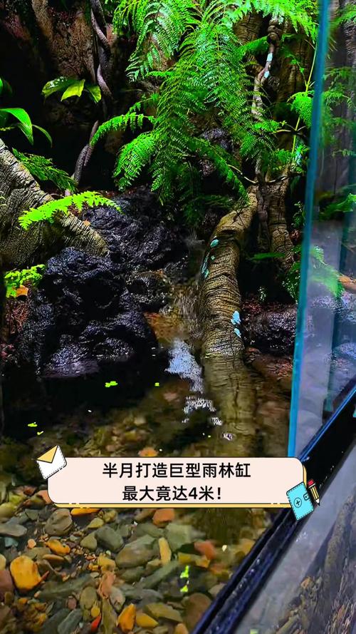 西安古城墙变身巨型生态之窗-图3