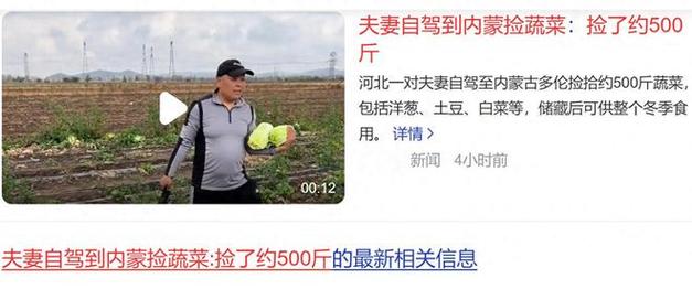 内蒙自驾捡菜记，夫妻俩收获满满500斤-图1