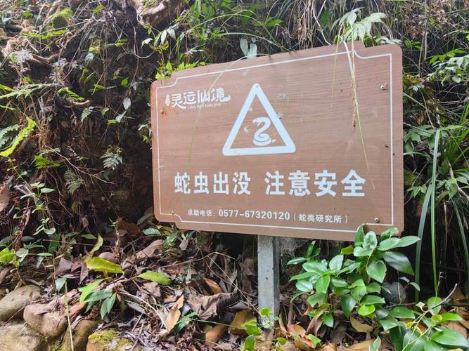 驴友登山惊现密集蛇出没警示牌-图1