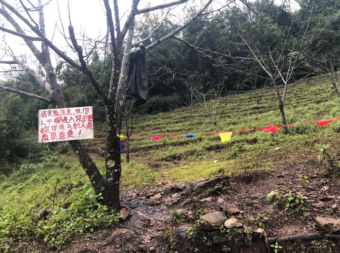 驴友登山惊现密集蛇出没警示牌-图3