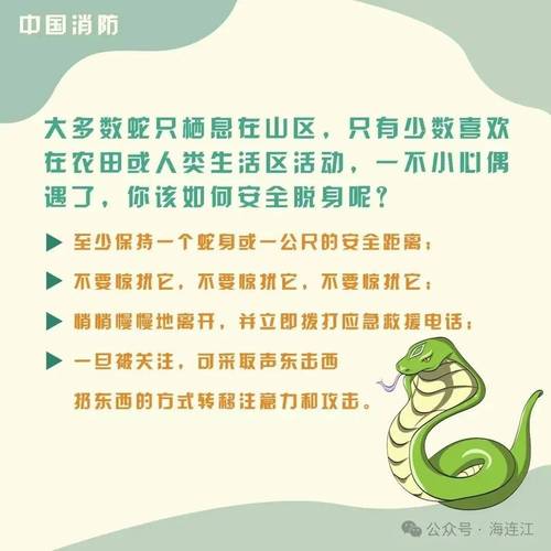 驴友登山惊现密集蛇出没警示牌-图2