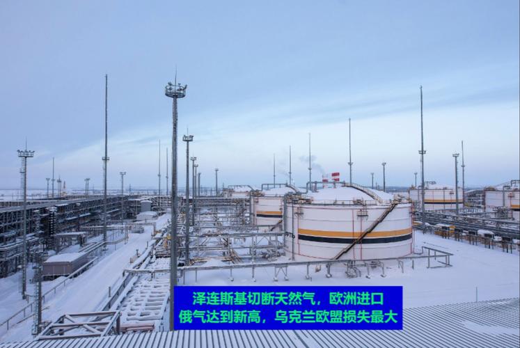 欧盟启动逐步减少对俄罗斯天然气依赖计划-图2