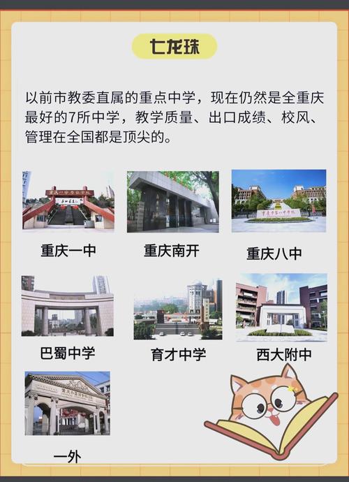 十二年一贯制教育新篇章，告别中考，贯通式学校引领未来教育-图2
