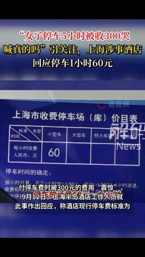 新能源车收燃油附加费引争议-图2