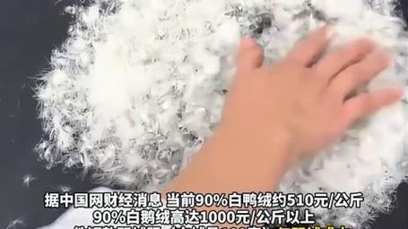 低于300元羽绒服,女装店主不建议购买的原因揭秘-图2 低于300元羽绒服,女装店主不建议购买的原因揭秘-图2