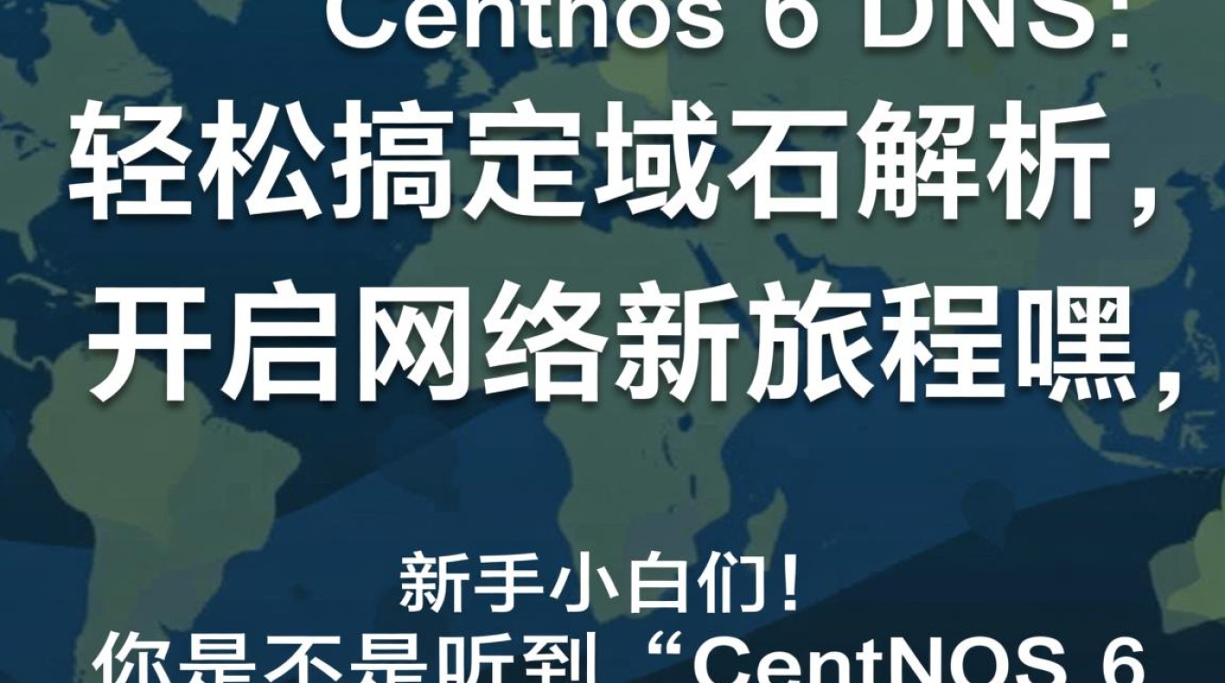 在 CentOS 6 系统中轻松配置 DNS 服务教程-图1