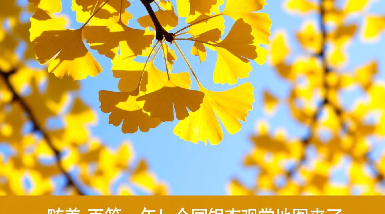 2024全国银杏观赏季地图发布，错过再等一年-图3