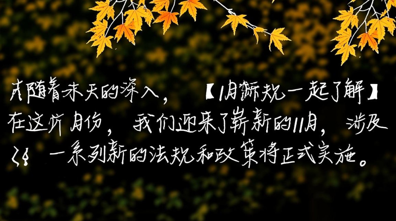 11月新规一览，重要政策解读-图2