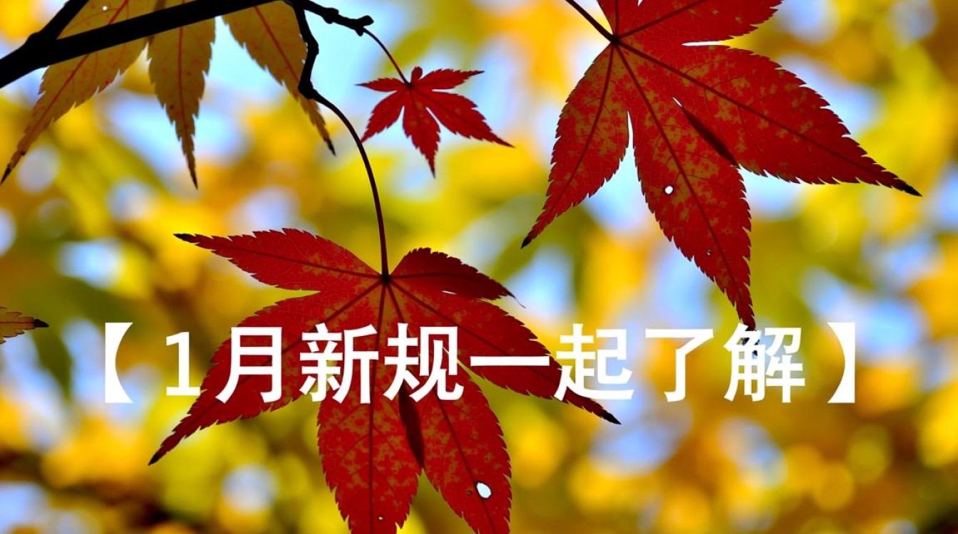 11月新规一览，重要政策解读-图1