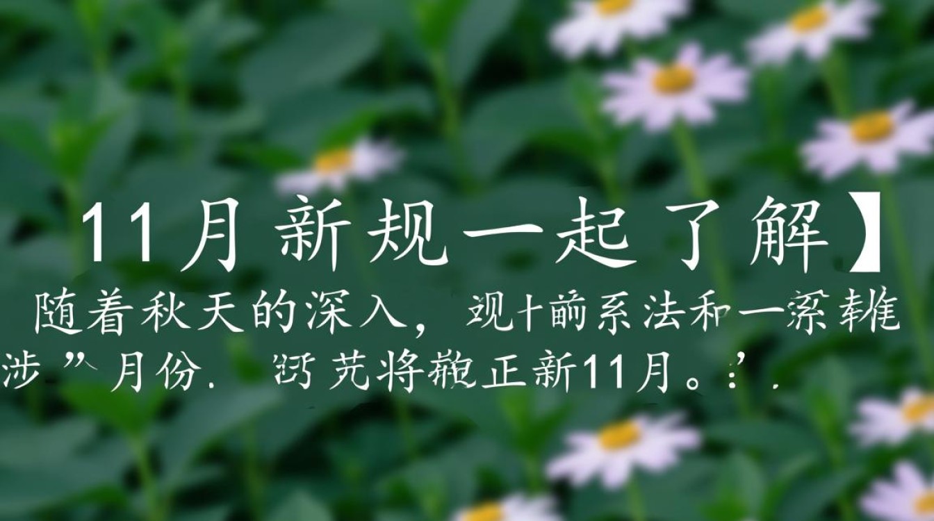 11月新规一览，重要政策解读-图3