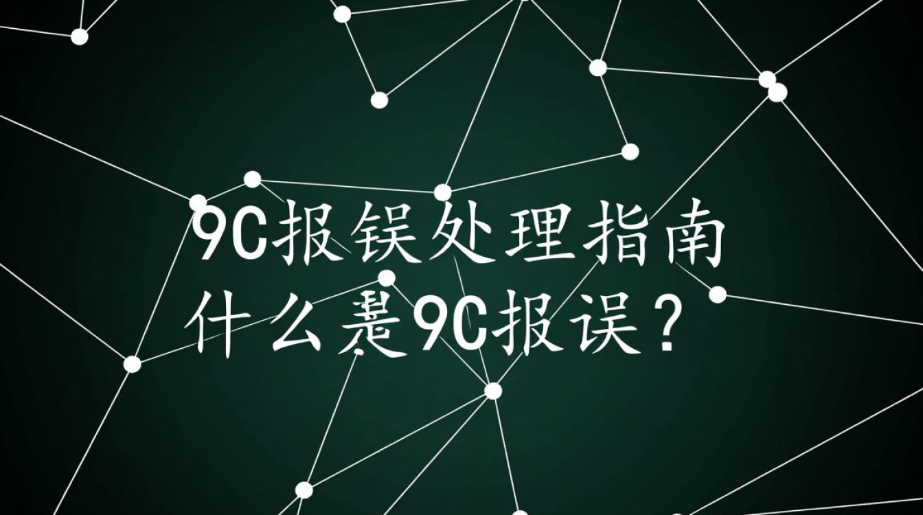 9c系统报错原因及解决方案-图2