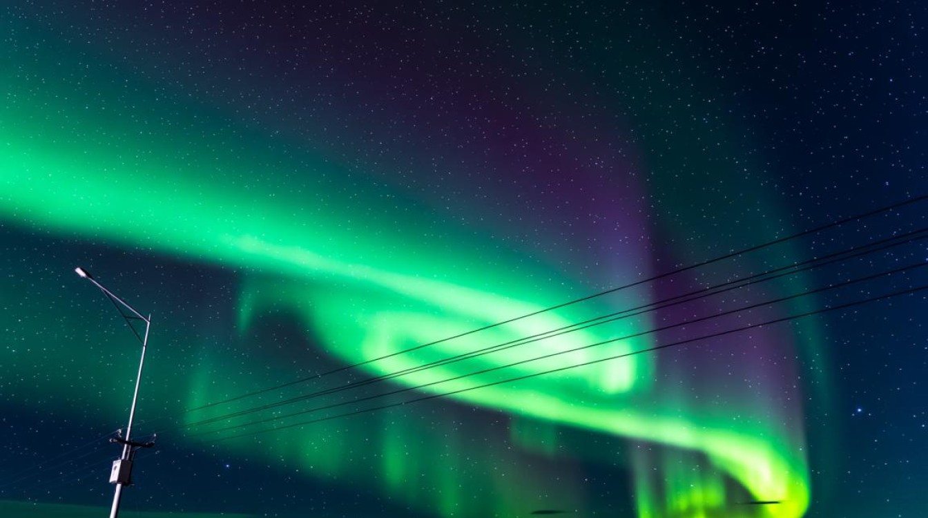 呼伦贝尔夜空绽放壮美极光奇观-图1