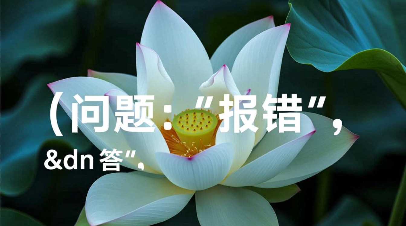 DN报错快速排查与解决指南-图1
