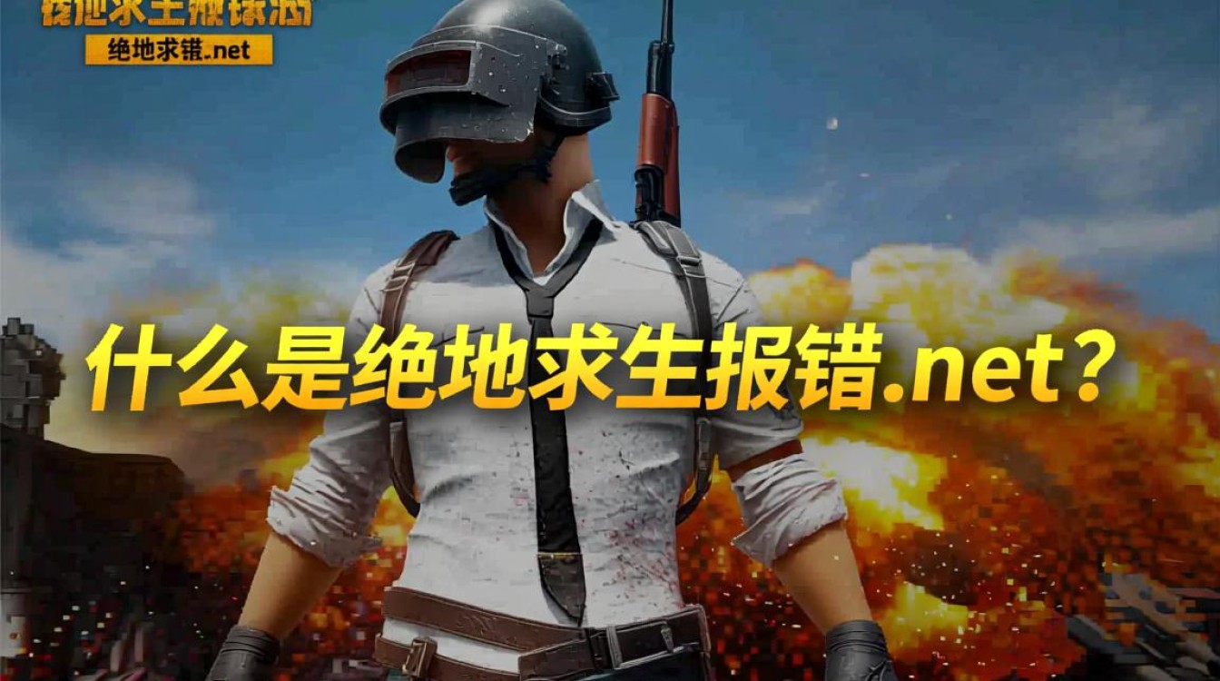 绝地求生报错.net游戏运行受阻，网友热议，问题究竟出在哪？-图2