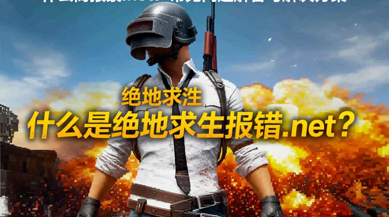 绝地求生报错.net游戏运行受阻，网友热议，问题究竟出在哪？-图3