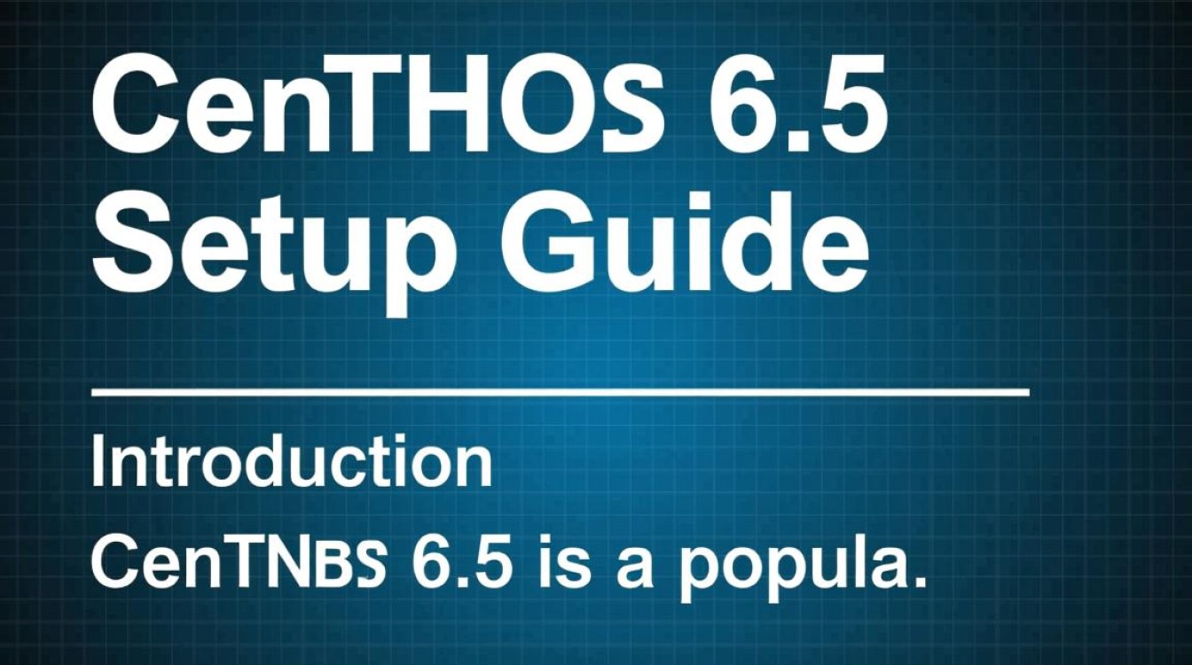 CentOS 6.5安装配置中遇到难题？30字内求解最佳方案？-图1