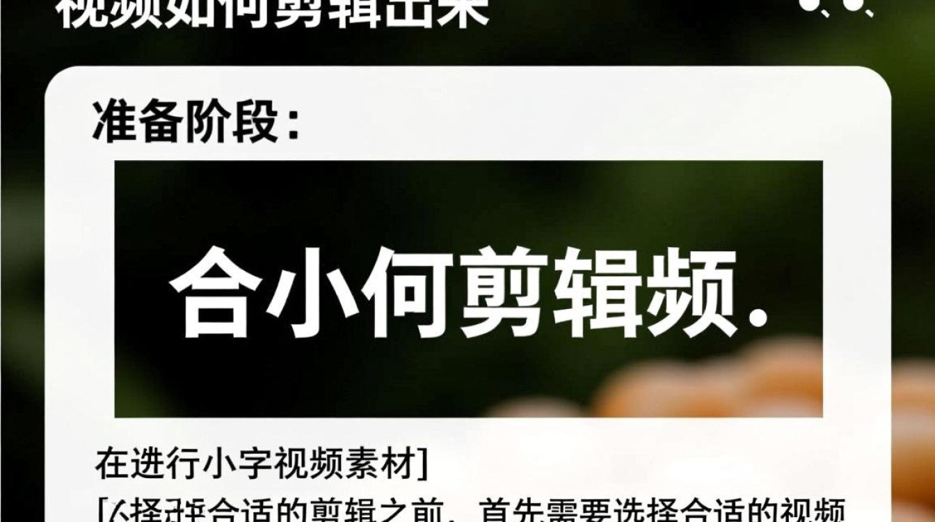 如何从零开始，轻松制作出高质量的小字视频剪辑？-图3