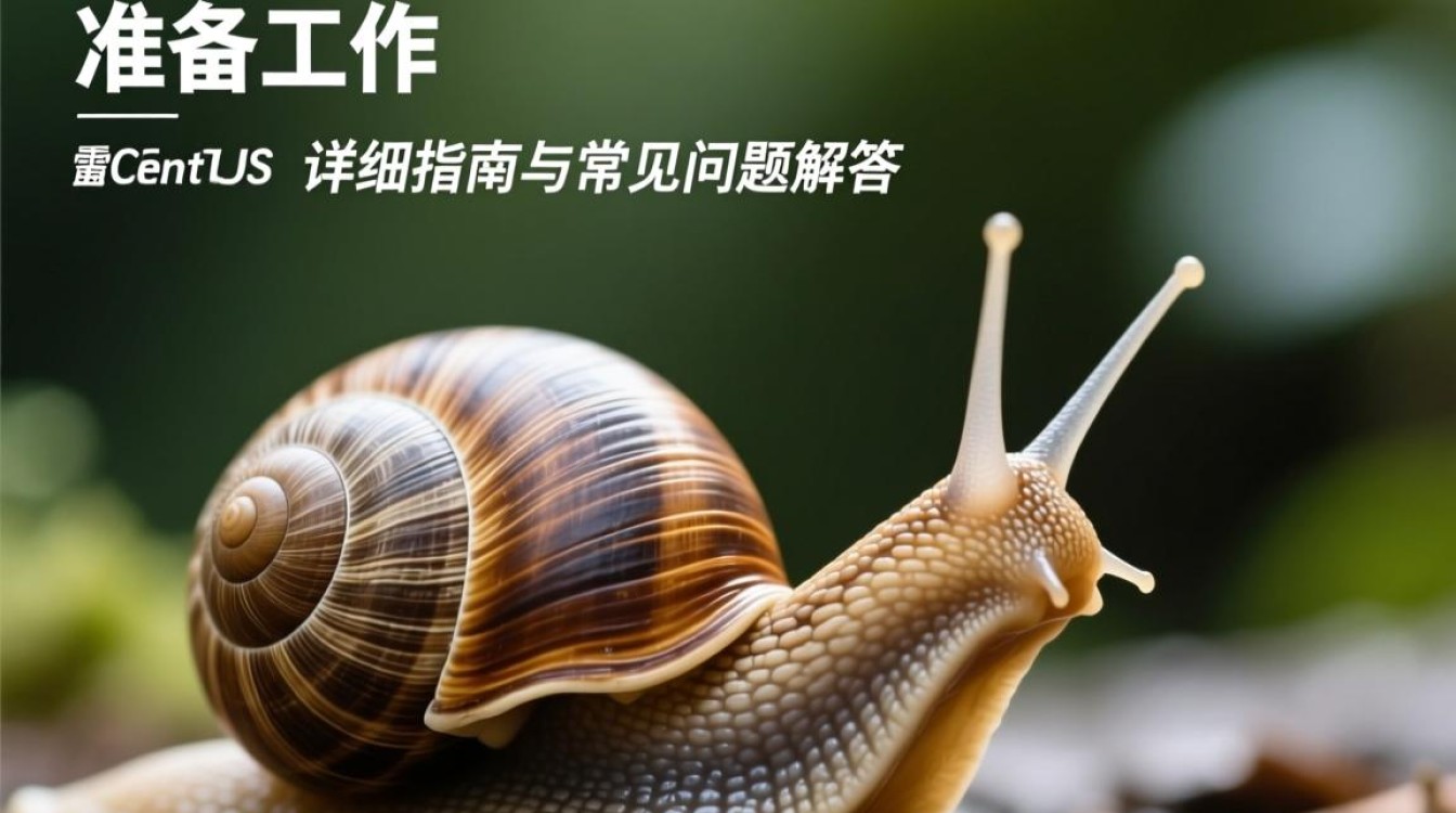 蜗牛服务器重装CentOS系统时遇到哪些常见问题及解决方法？-图3