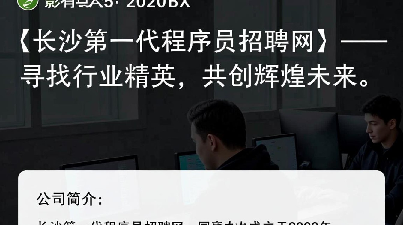 长沙第一代程序员招聘网，揭秘长沙早期程序员就业现状与挑战？-图2