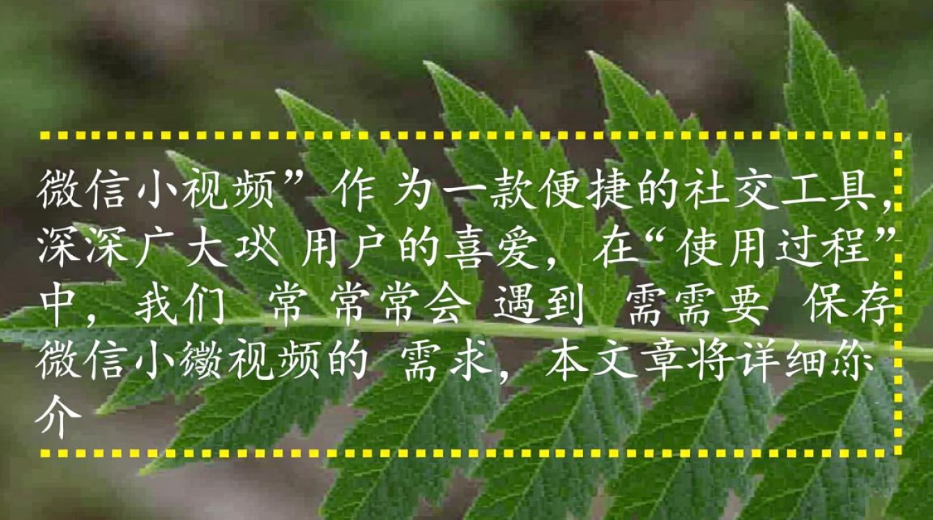 微信小视频保存方法详解，是直接保存还是需要特殊操作？-图3
