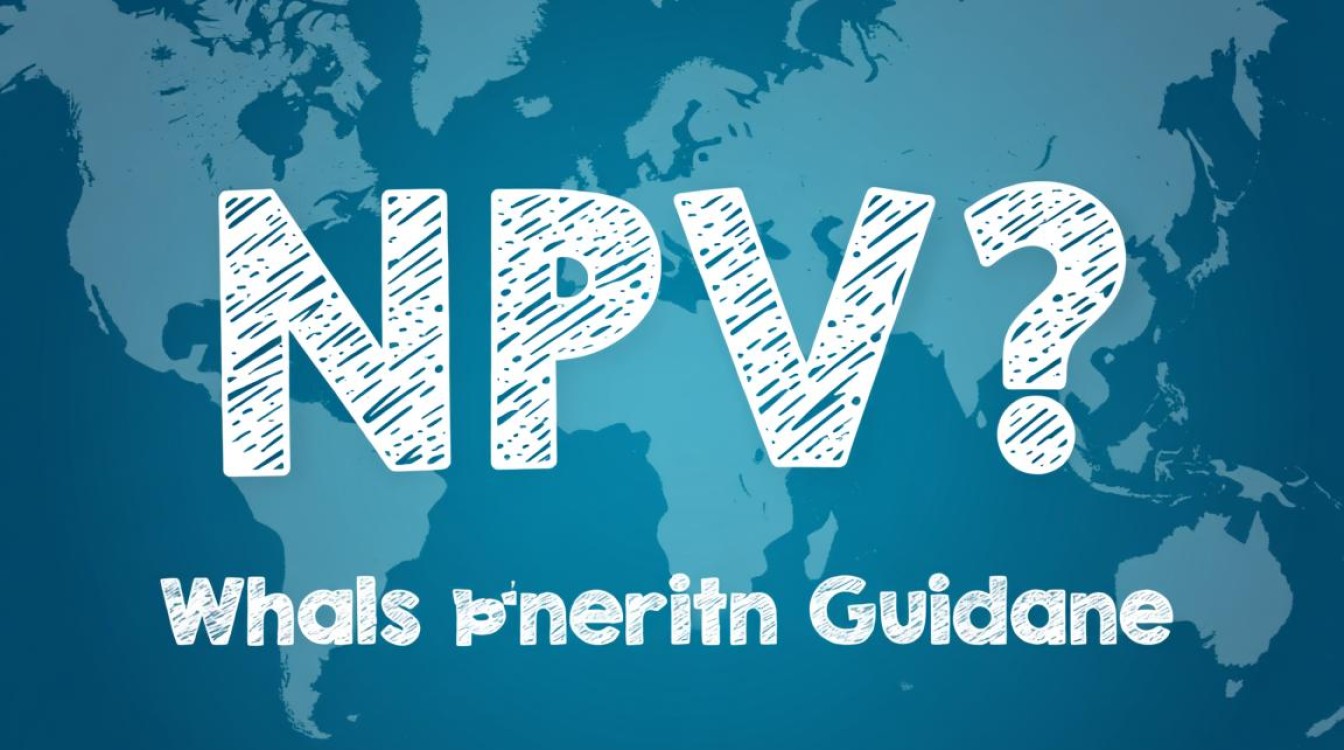 在财务分析中，如何精确计算项目的净现值（NPV）并避免常见错误？-图2