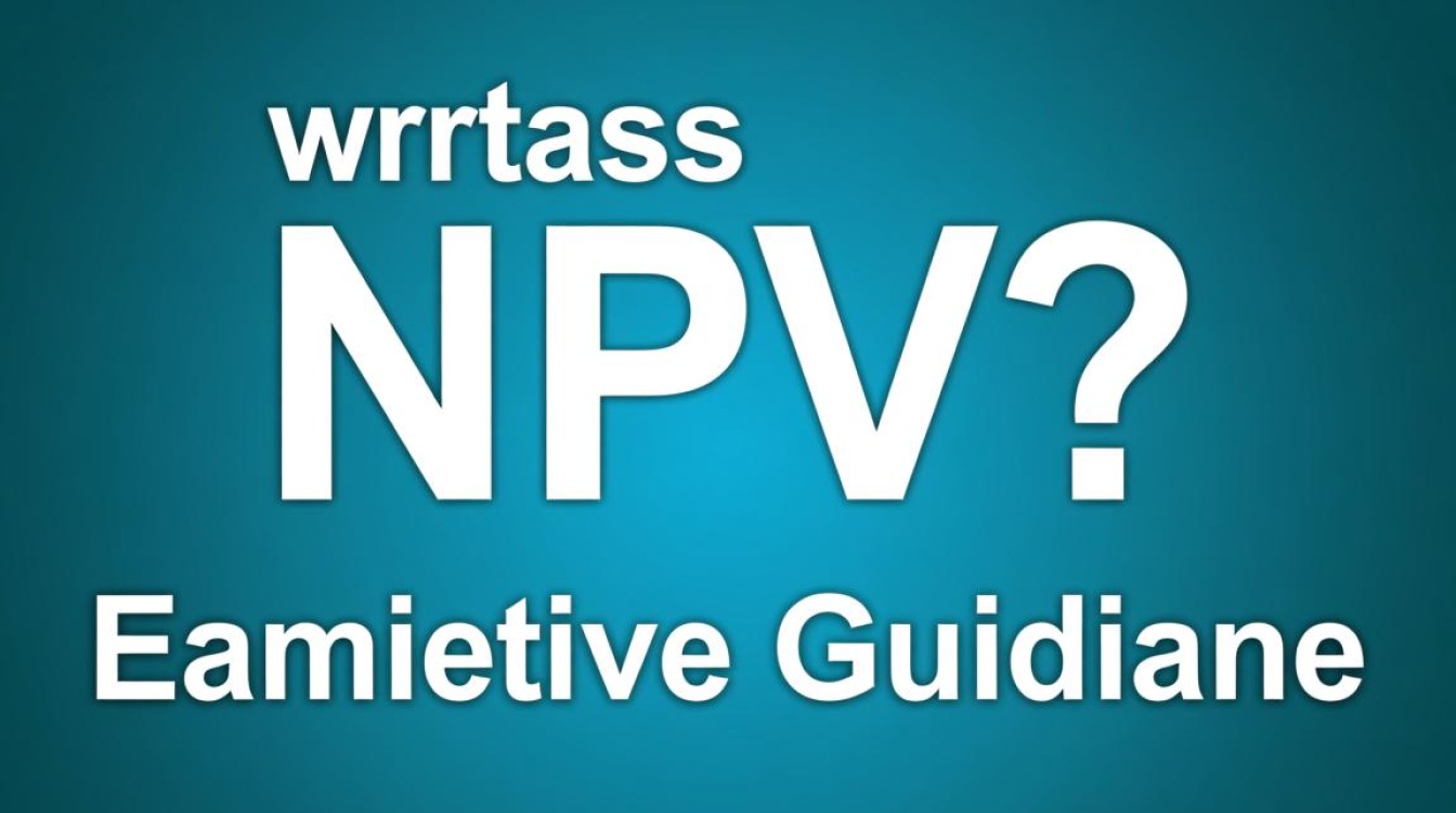 在财务分析中，如何精确计算项目的净现值（NPV）并避免常见错误？-图3