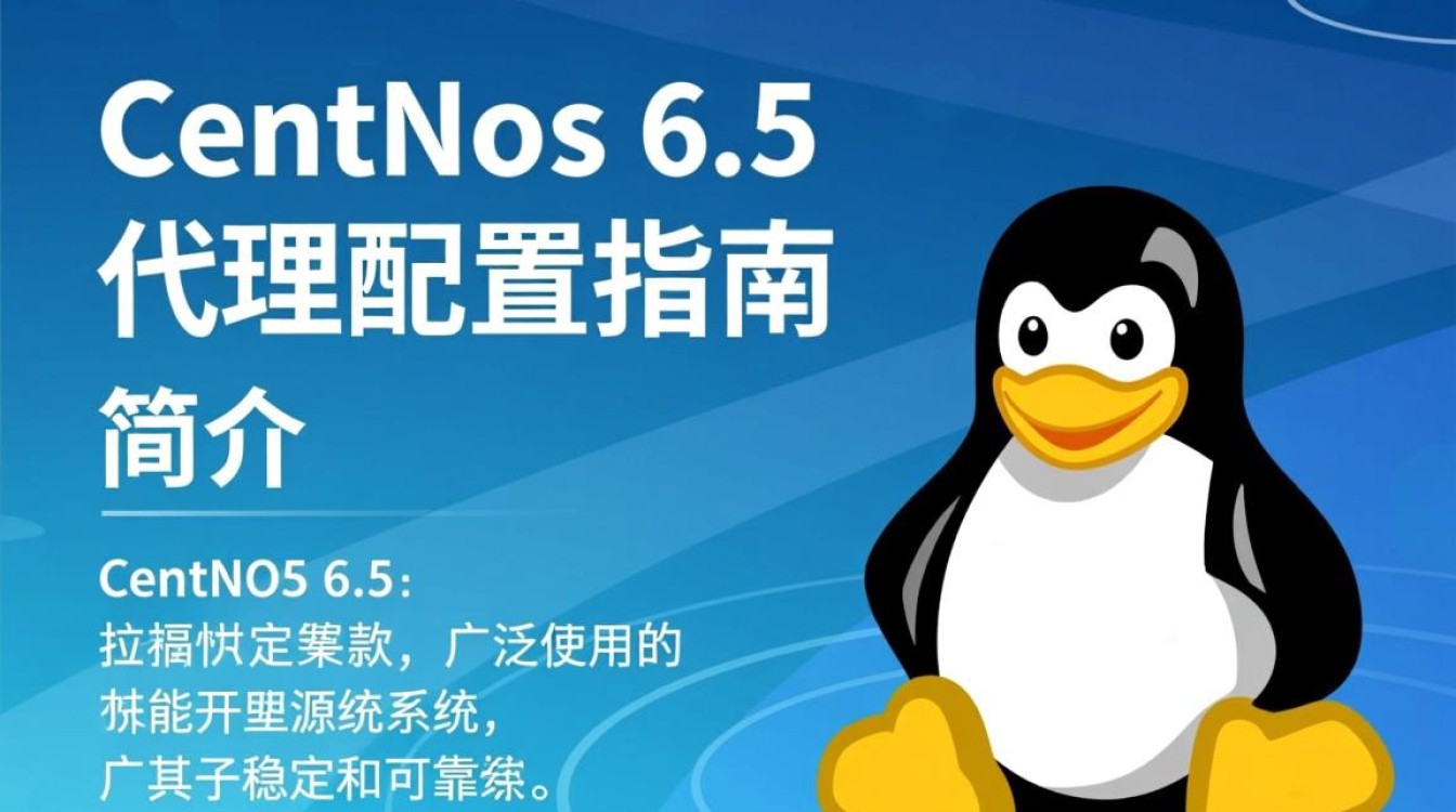 CentOS 6.5 系统中如何配置高效代理设置？探讨优化方案与技巧。-图1