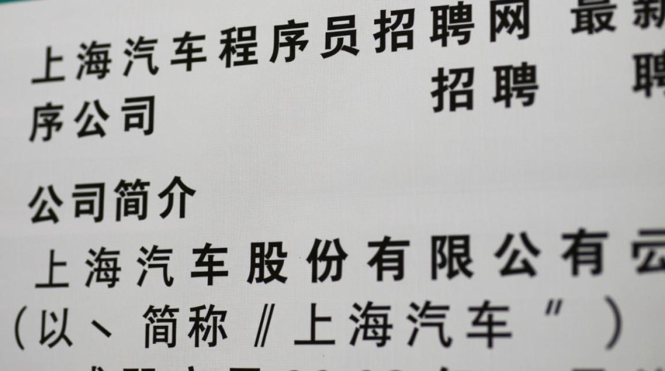上海汽车程序员招聘网最新职位，你准备好加入这个团队了吗？-图1